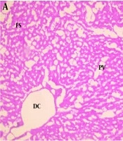 Jundishapur J Nat Pharm Prod